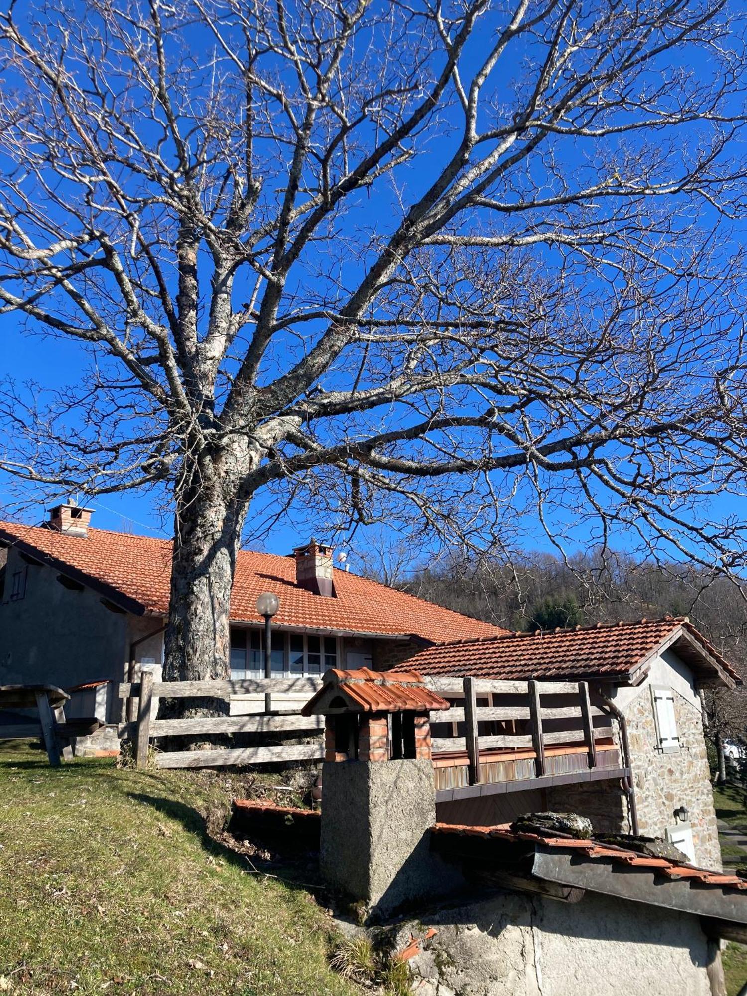 Casa Sperandini Pensionat San Marcello Pistoiese Exteriör bild
